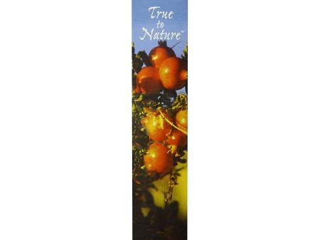 AUROSHIKHA - True To Nature Incense Singapore Patchouli - 0.35 oz. (10 g) Discount