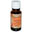 NATURE S ALCHEMY - Cinnamon Leaf Pure Essential Oil - 0.5 oz. (15 ml) Cheap